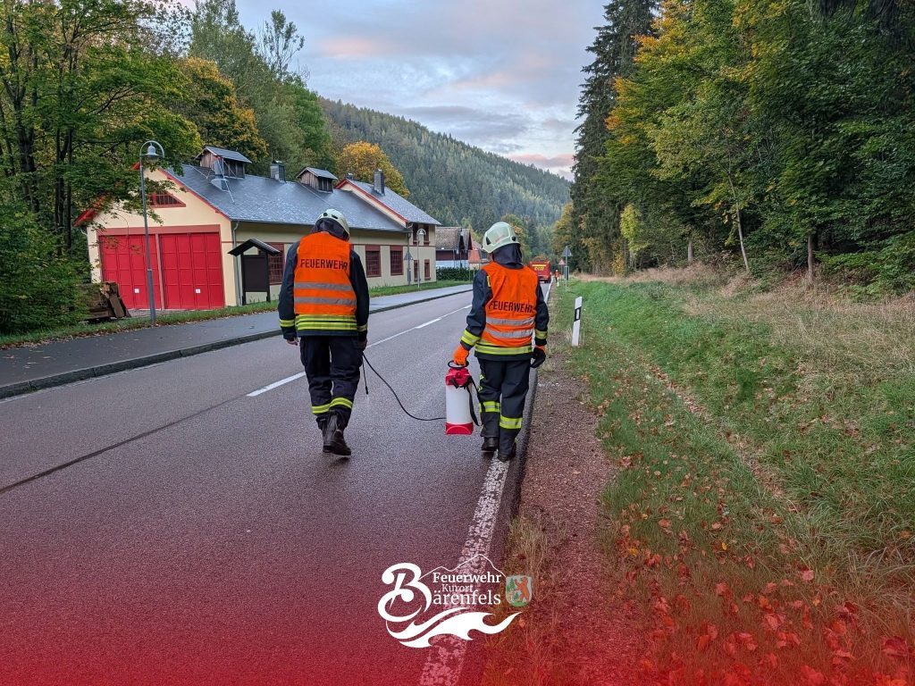 Am 12.10.2026 um 17:35 Uhr wurden wir zu einer Ölspur nach Kipsdorf alarmiert. Die Ölspur war teilweise bis 1 Meter breit